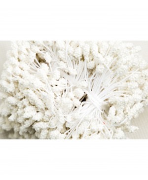 Kuokeliai-pumpurėliai gėlių gamybai, 850vnt, baltos sp.