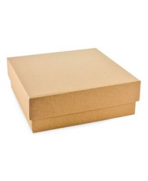 Kartoninė dviejų dalių dėžutė pakavimui žemu dangteliu, 22x14x4 cm ruda/balta	